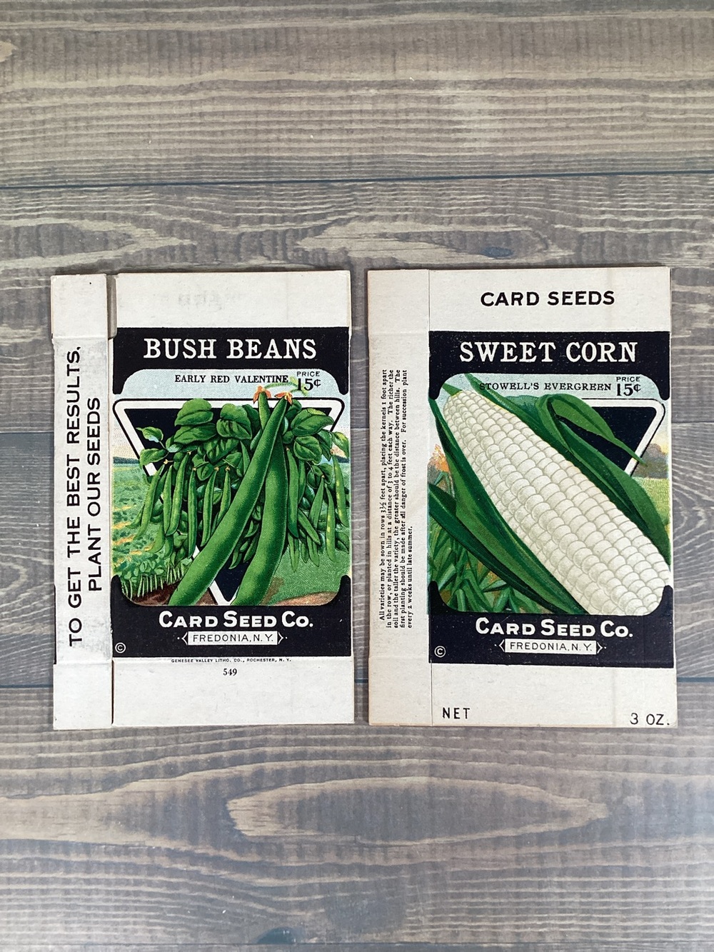 1920s Litho Antique Card Seed Co. Packet Box Sweet Corn  & Bush Beans Unused